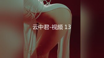 云中君-视频 13