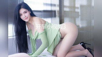 开车小视频3