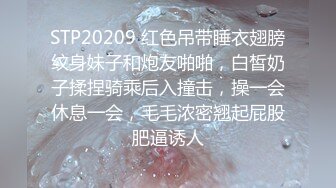 2024一月最新流出❤️厕拍极品收藏✿巅峰视角系列✿商场前景偷拍逼逼肥厚的气质短发少妇